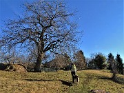 22 Su variante di dx del sent. 507 verso antica Cascina Valturba